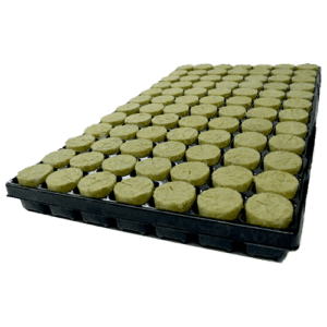 Agra-Wool Plugs Basic Round – 11 Tabletts pro Box