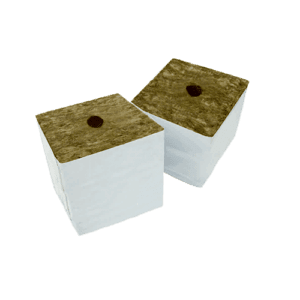 Agra-Wool Speedgrow Wachstumsblock – 15 x 15 x 15 cm – 40 Stück pro Box