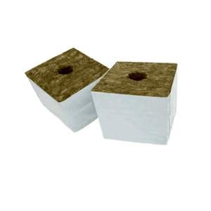 Agra-Wool Speedgrow Startblock – 7,5 x 7,5 x 6,5 cm – 224 Stück pro Box