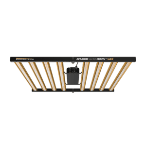 Dimlux Xplore LED – 800 W