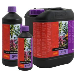 B'cuzz Coco Bloom Stimulator