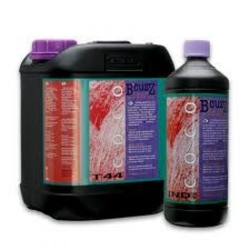 B'cuzz Coco Booster universal