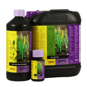 B'cuzz Bodenverstärker Universal