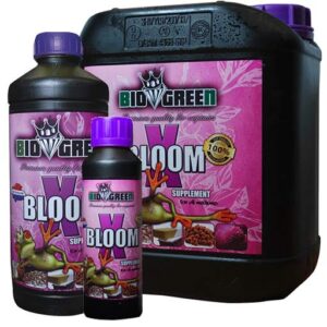 BioGreen X-Blüte