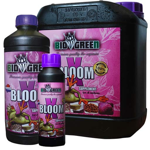 BioGreen X-Blüte