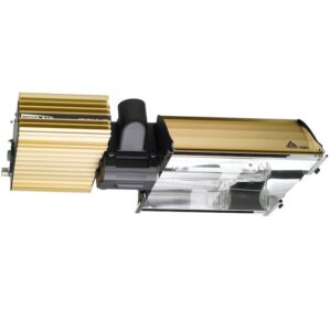 Dimlux Expert 600/750w MKII EL UHF DXO v Inkl. 400 gegen Buln