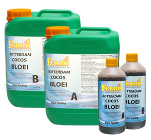 Ferro Cocos Bloom A+B