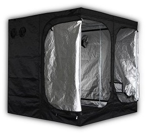 Mammut Classic+ 240 - 240x240x200cm