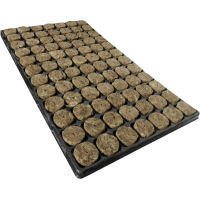 Speedgrow-Stecker, 126 Stück pro Tablett, 11 Tablett pro Karton