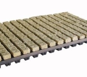 Grodan Steinwolle-Tablett 2x2cm 150 Stk. p/Tablett