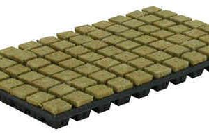 Cultilene-Stecker – 4 x 4 cm – 77 Stück/Tablett – 18 Tabletts pro Karton