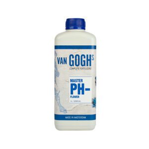 Van Goghs Meister PH – Blume