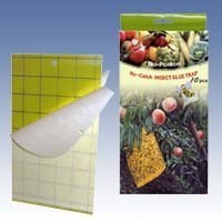 Fangstreifen gelb, 10 Stück pro Packung